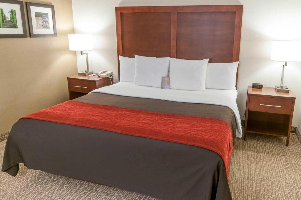Comfort Inn Quantico Stafford Exterior foto