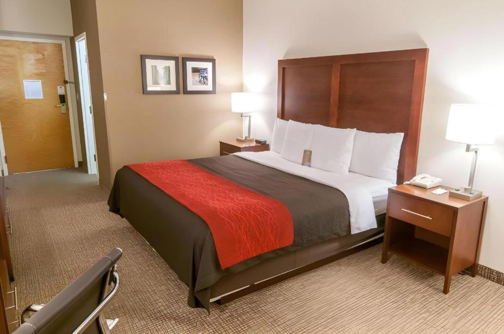 Comfort Inn Quantico Stafford Exterior foto
