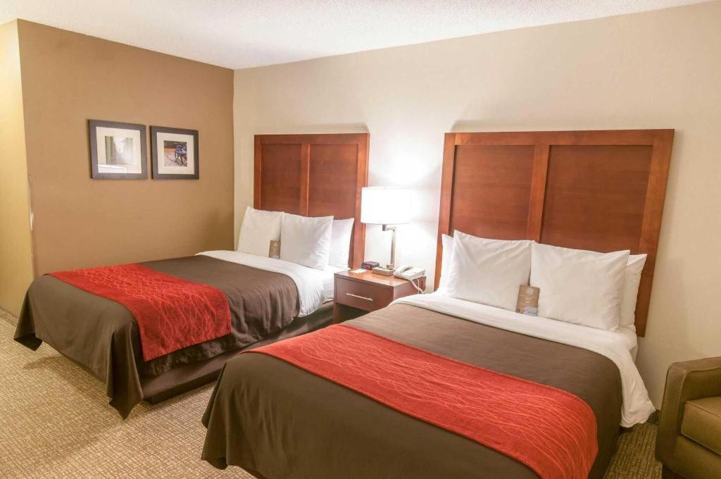 Comfort Inn Quantico Stafford Exterior foto