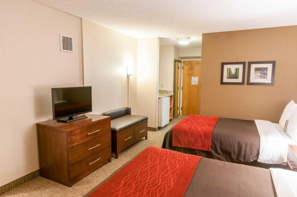 Comfort Inn Quantico Stafford Exterior foto